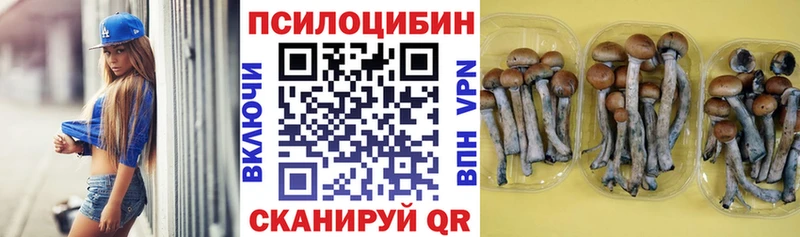 Галлюциногенные грибы MAGIC MUSHROOMS  нарко площадка официальный сайт  Почеп 