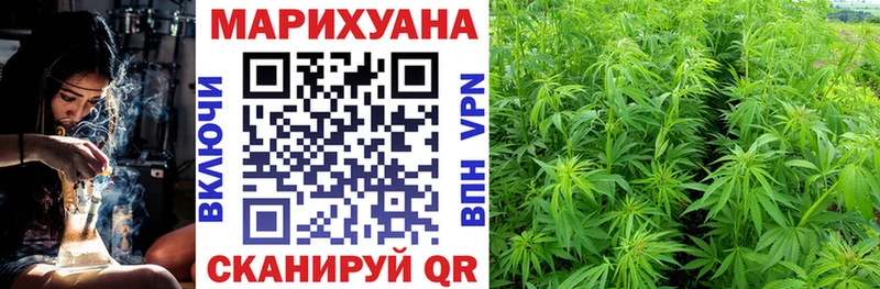 Марихуана планчик  Почеп 